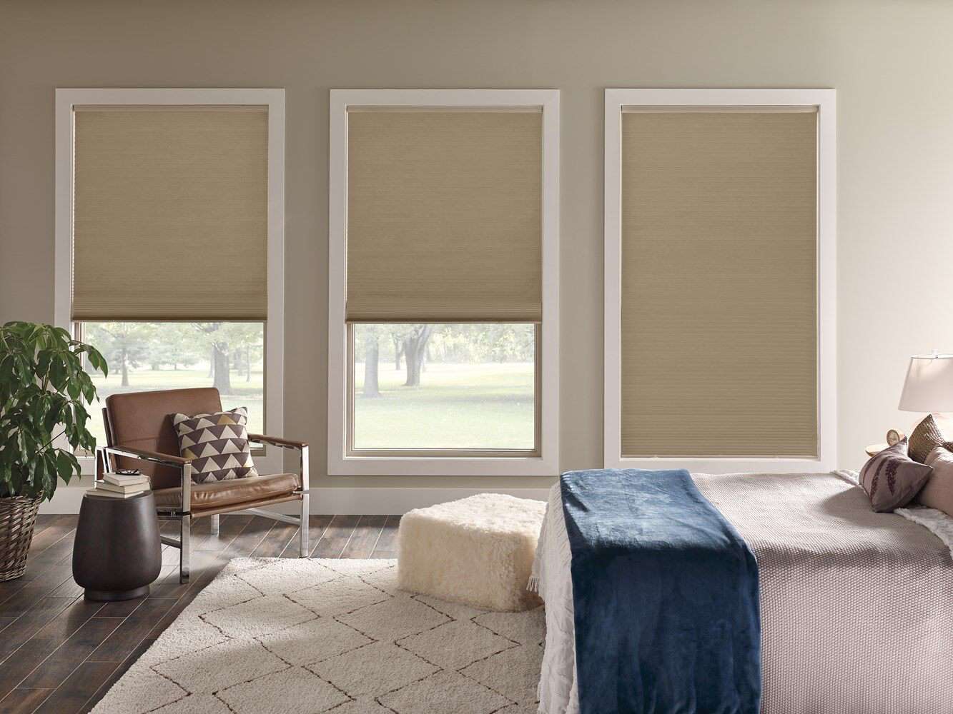 Cortinas Roller Blackout